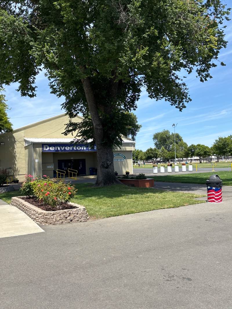 walking near me in Dixon May Fairgrounds in summer