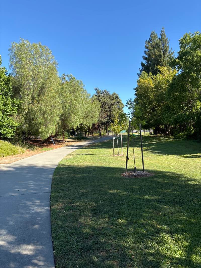 walking near me in Sandy Motley Park in summer