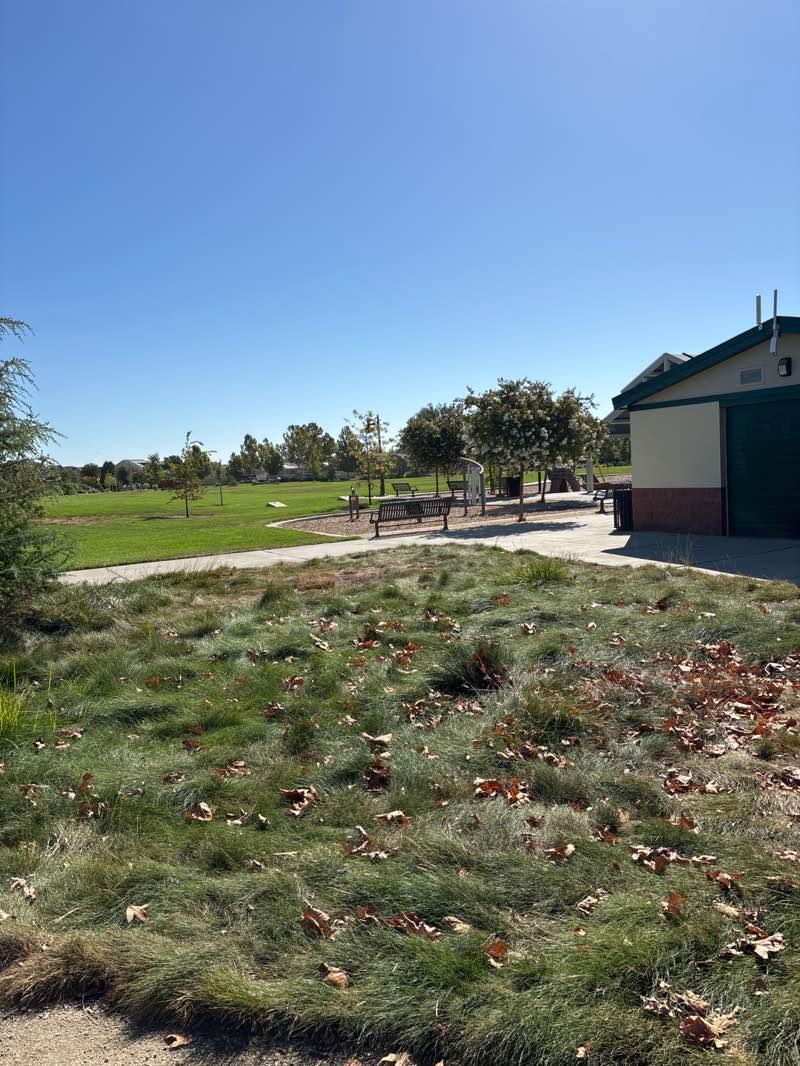 walking near me in Rick Gonzalez Senior Park in summer