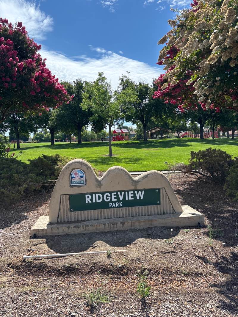walking near me in Ridgeview Park in summer