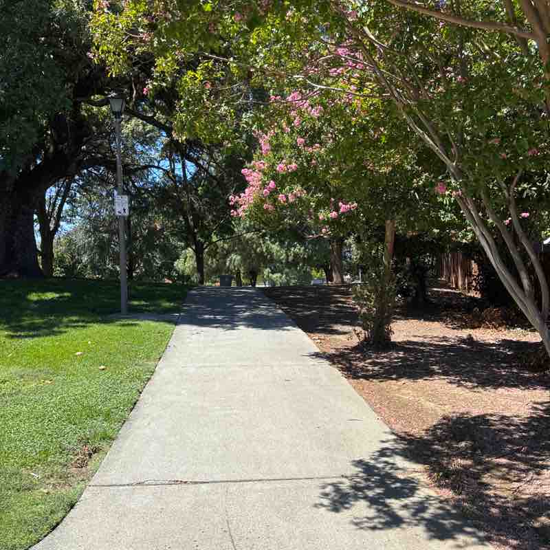TomWalks post 1