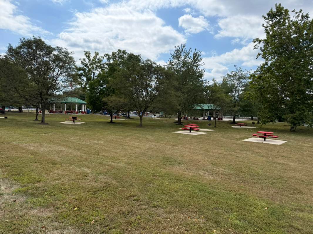 walking near me in Bell Tavern Park in autumn