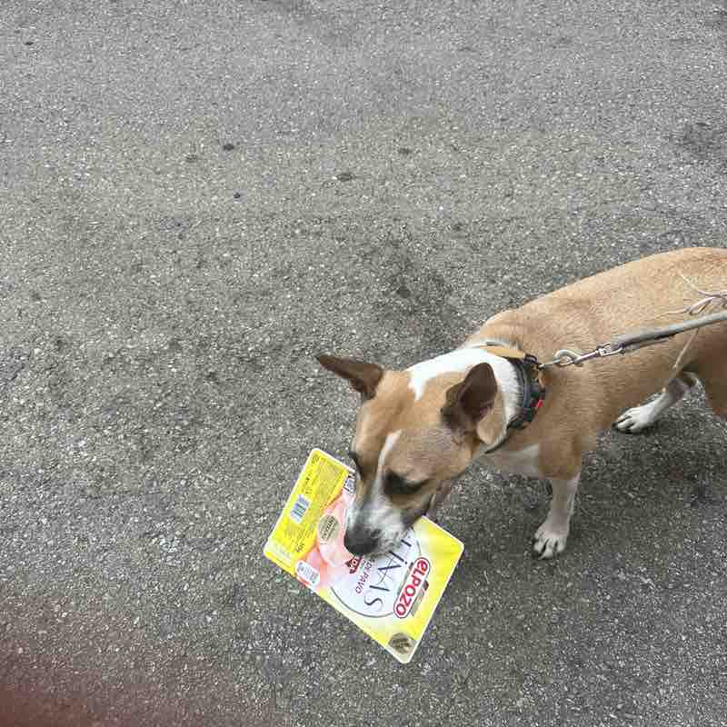 Cloe imran post image