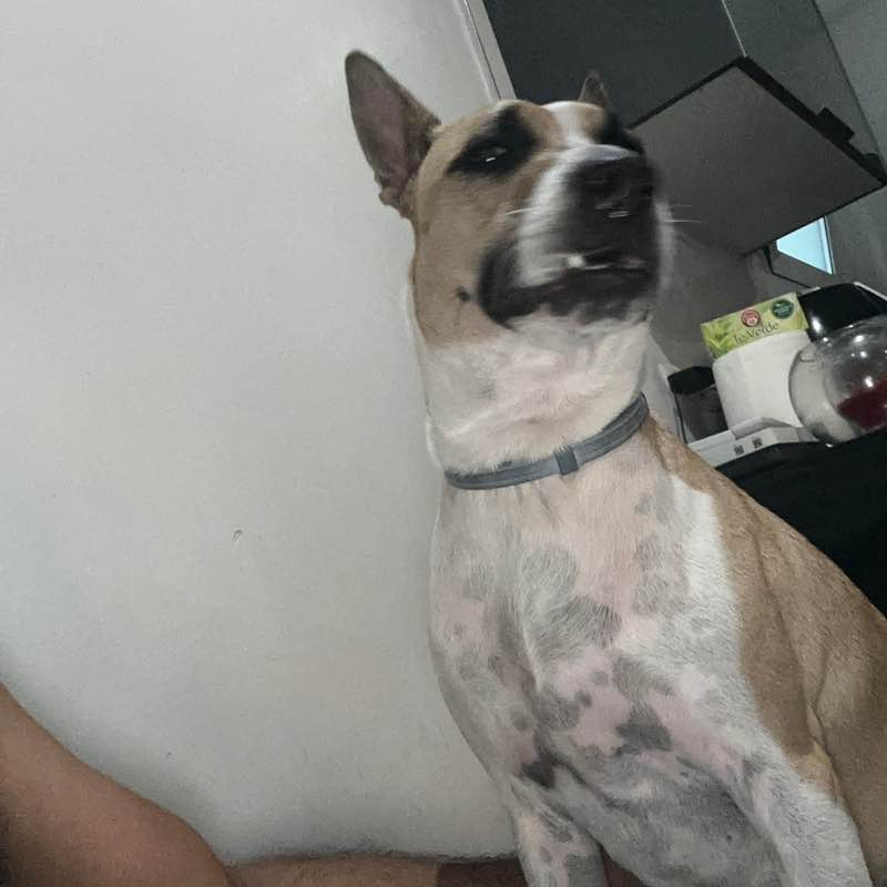 Cloe imran post image