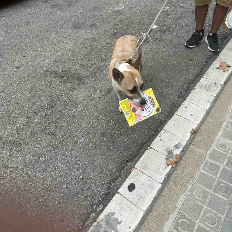 Cloe imran post image