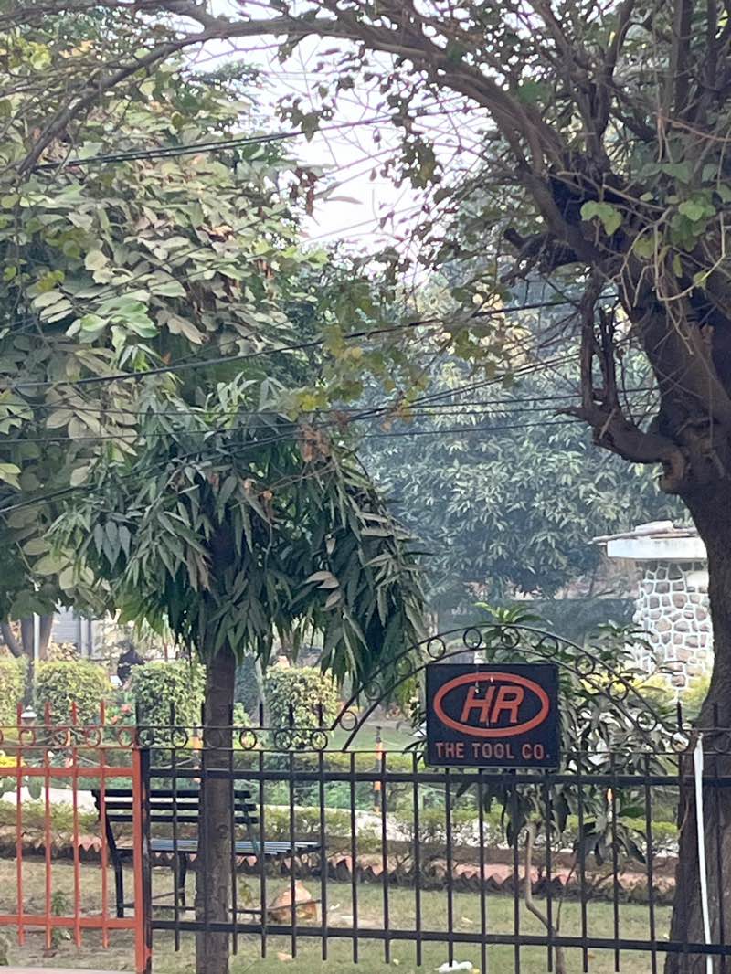 walking near me in Model Town Park in winter