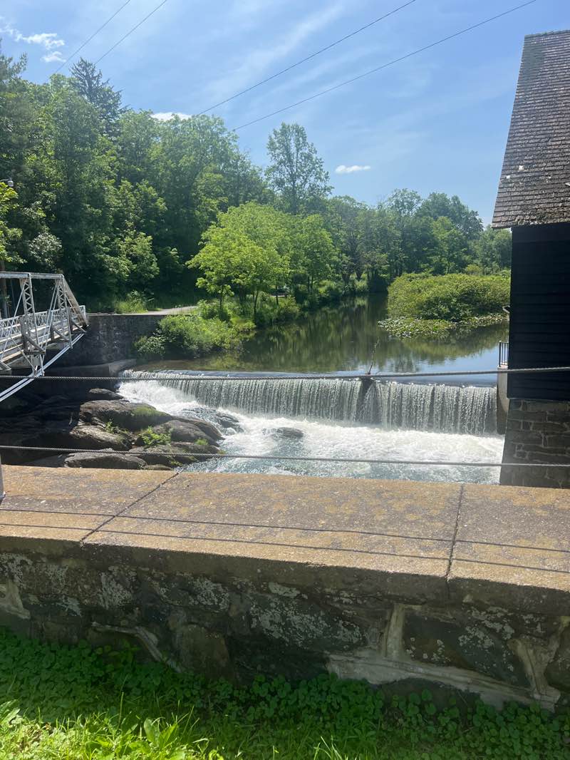 walking near me in Old Mill Park in summer