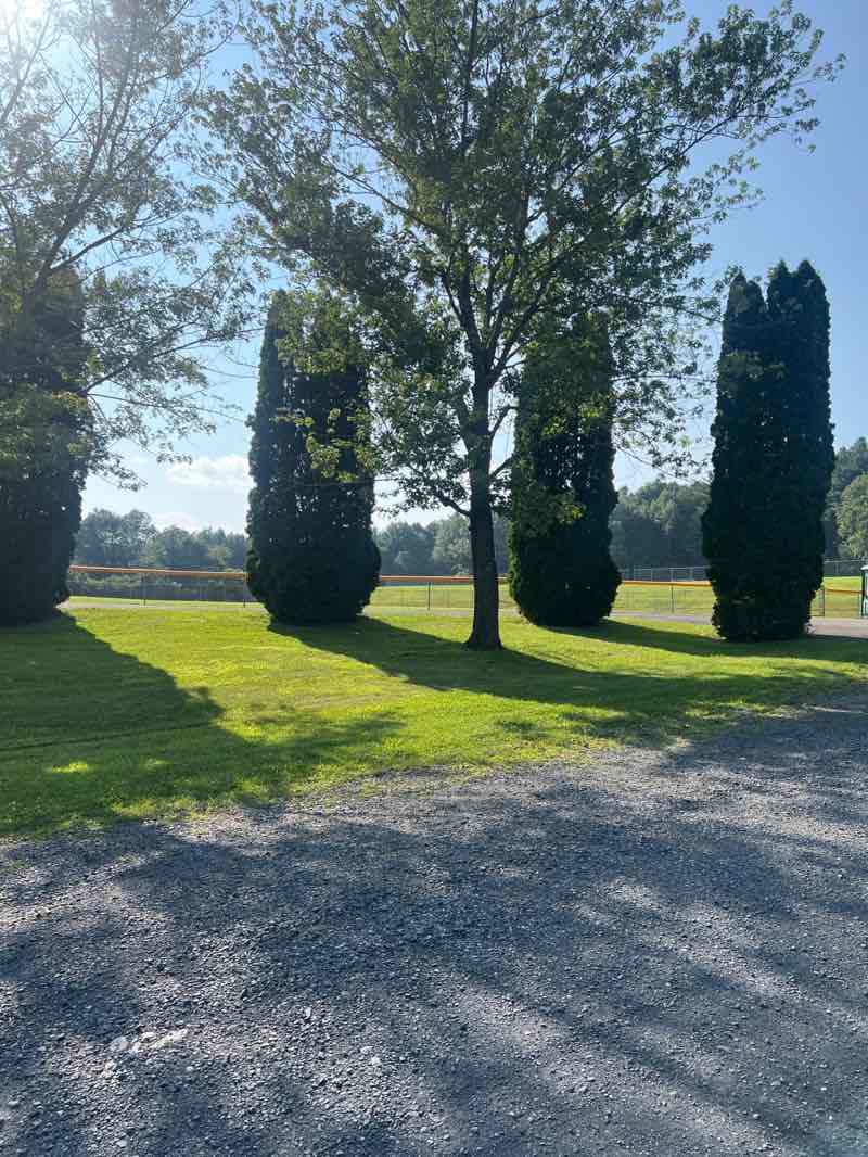 walking near me in JC Park in autumn