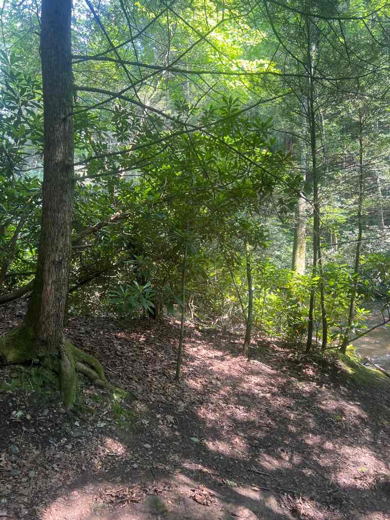 walking near me in Beltzville State Park in summer