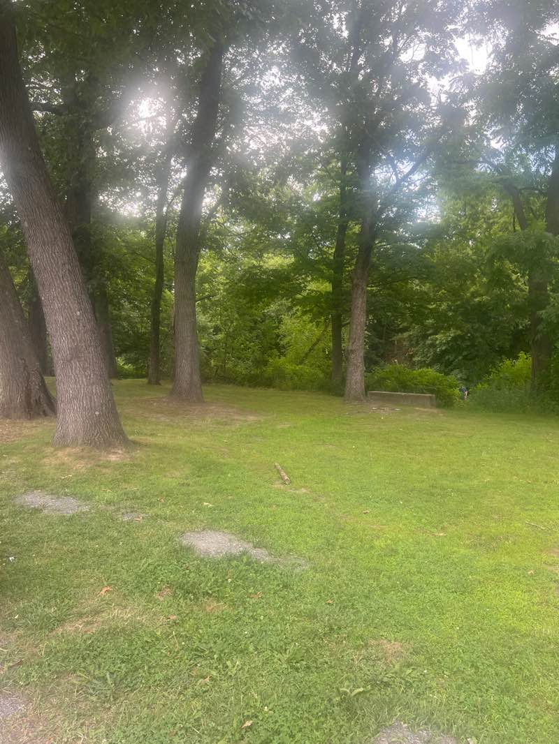 walking near me in Stroudsburg Borough Park in summer