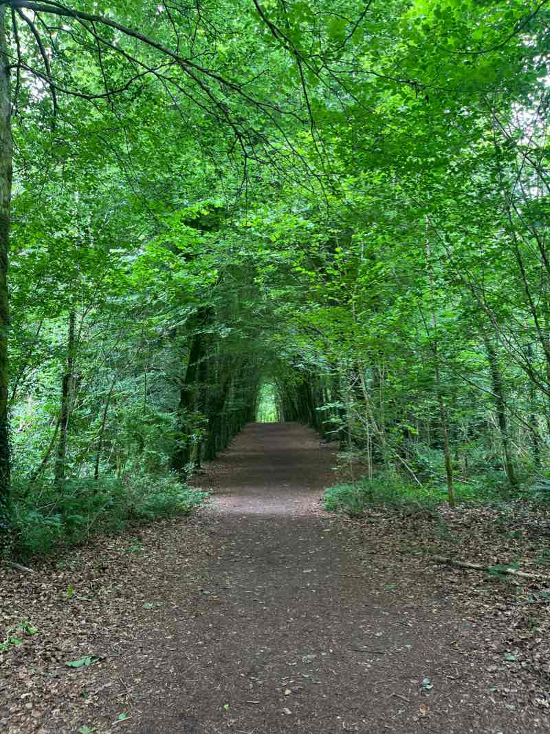walking near me in Lees Road Park in winter