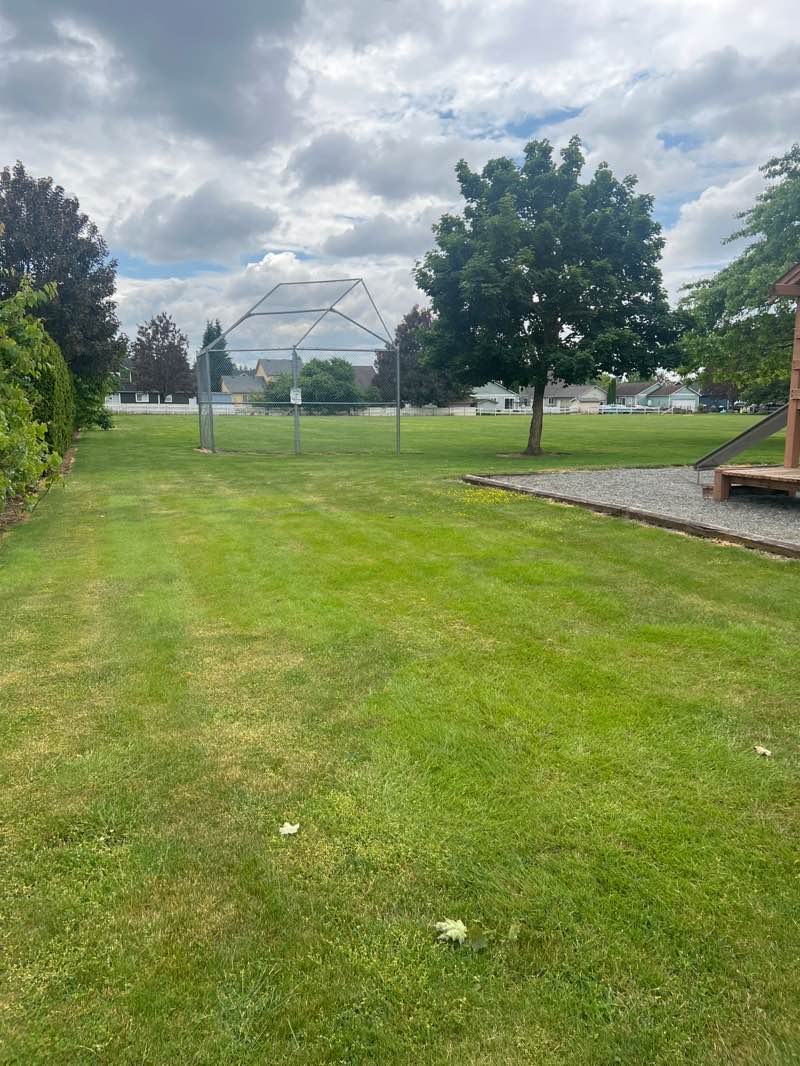 walking near me in Greenfield Park in summer