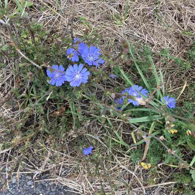 Francoise  samson post 2