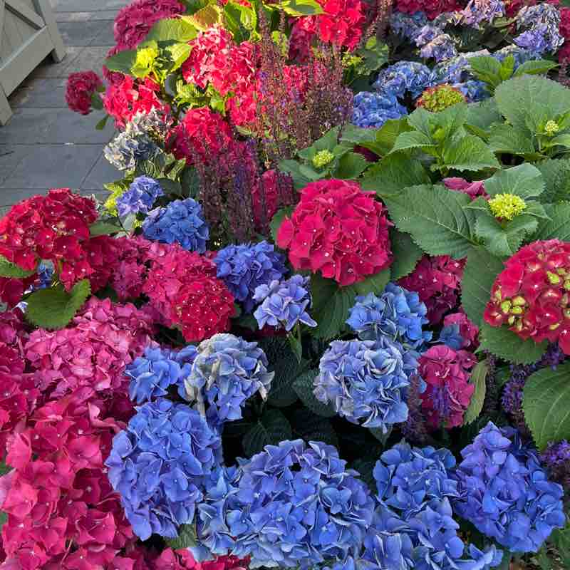 Все свои 🏃‍♀️ Ольга post image