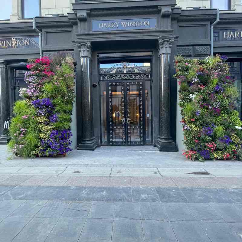 Все свои 🏃‍♀️ Ольга post image