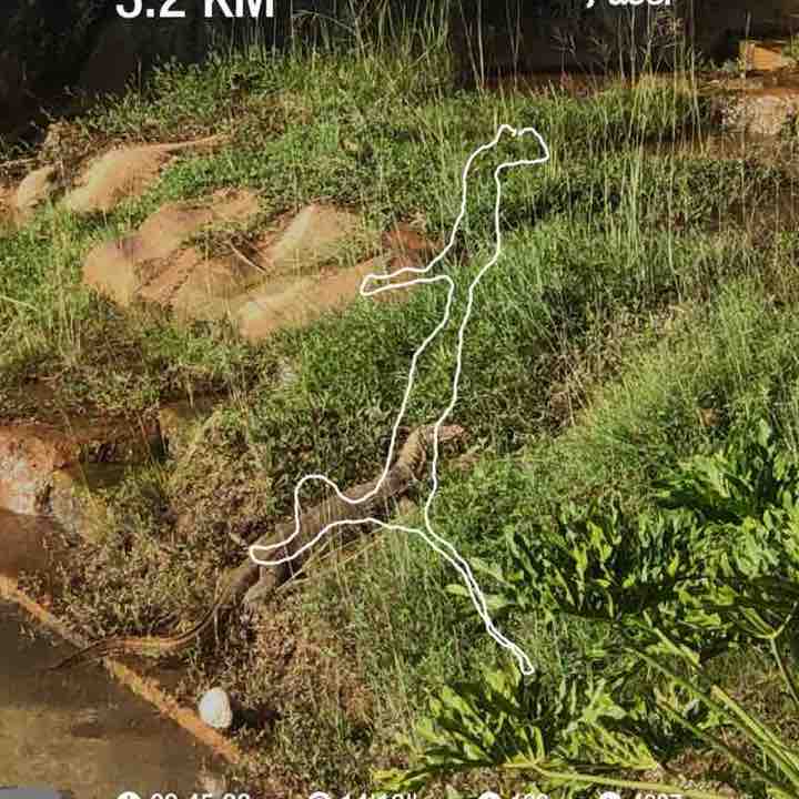 Najib Samsuri post 1