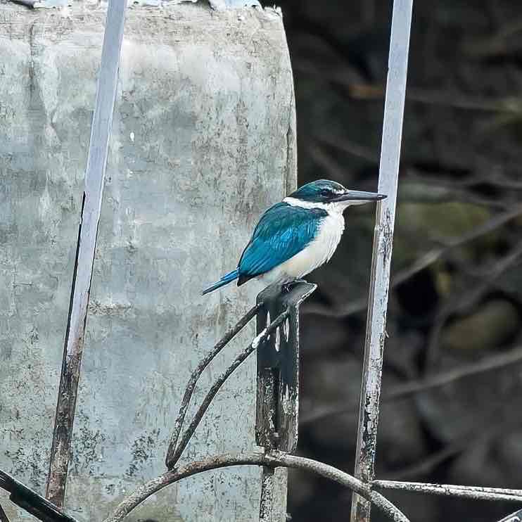 🐲🐉🐲樂逍遙🐲🐉🐲 post 2