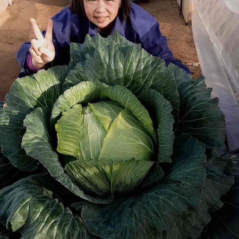 🐲🐉🐲樂逍遙🐲🐉🐲 post 1