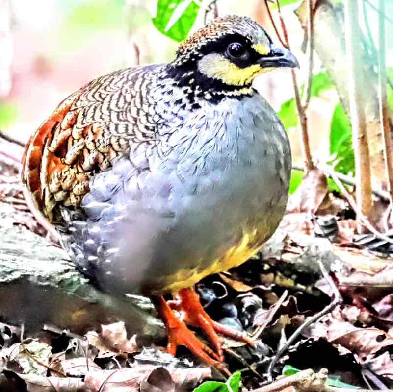 🐲🐉🐲樂逍遙🐲🐉🐲 post 3