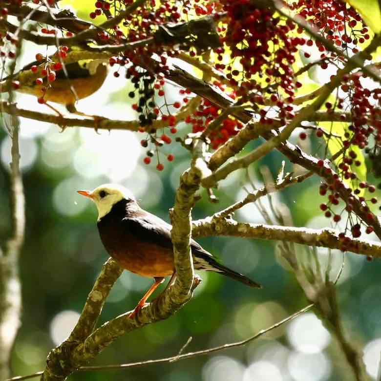 🐲🐉🐲樂逍遙🐲🐉🐲 post 3