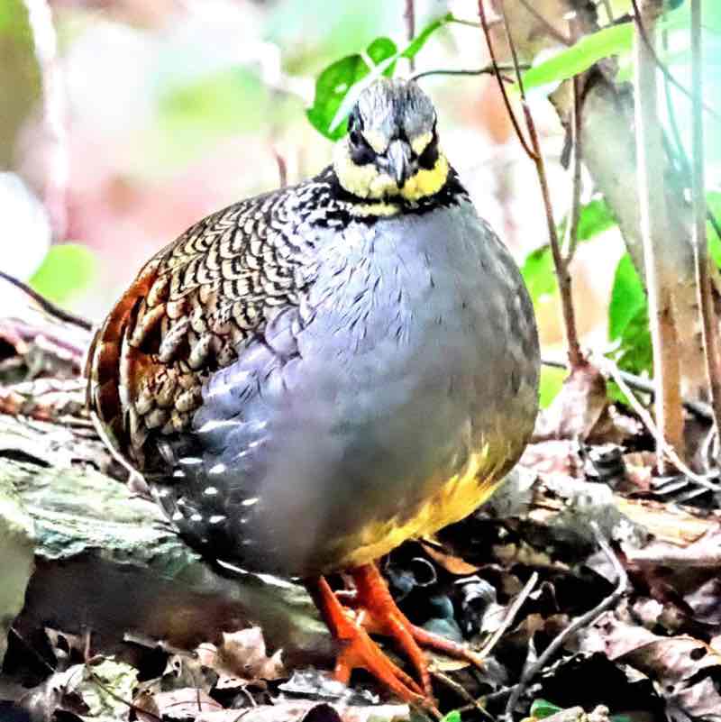 🐲🐉🐲樂逍遙🐲🐉🐲 post 1