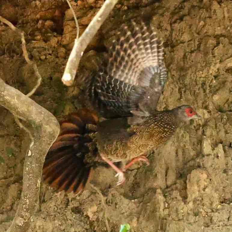 🐲🐉🐲樂逍遙🐲🐉🐲 post 2