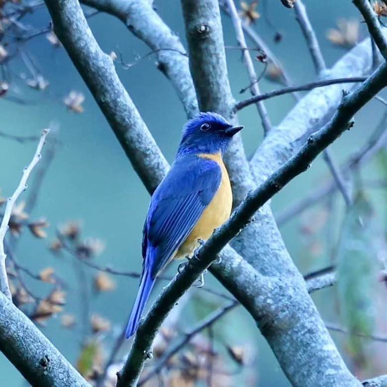 🐲🐉🐲樂逍遙🐲🐉🐲 post 1