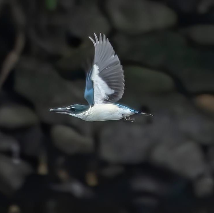 🐲🐉🐲樂逍遙🐲🐉🐲 post 3