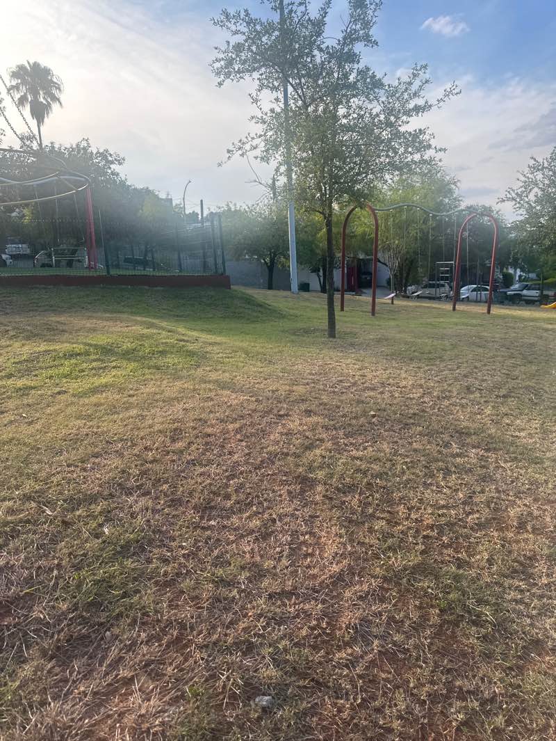 walking near me in Parque Plaza Santa Maria Redonda in autumn