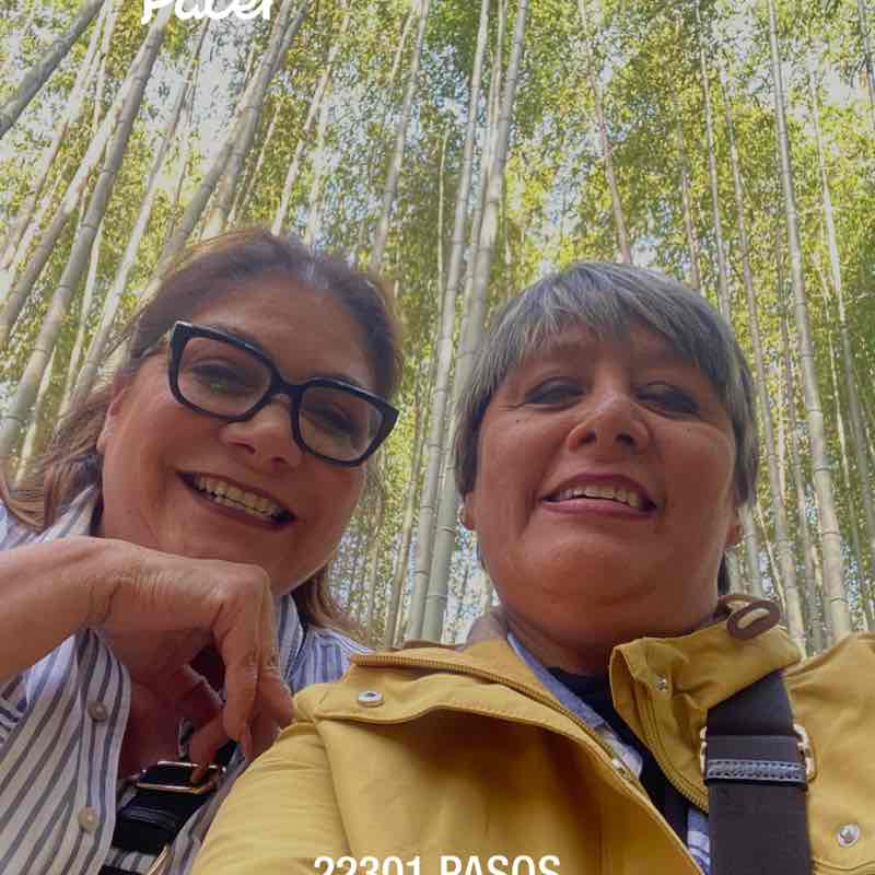 maria.luisaramirez post 1