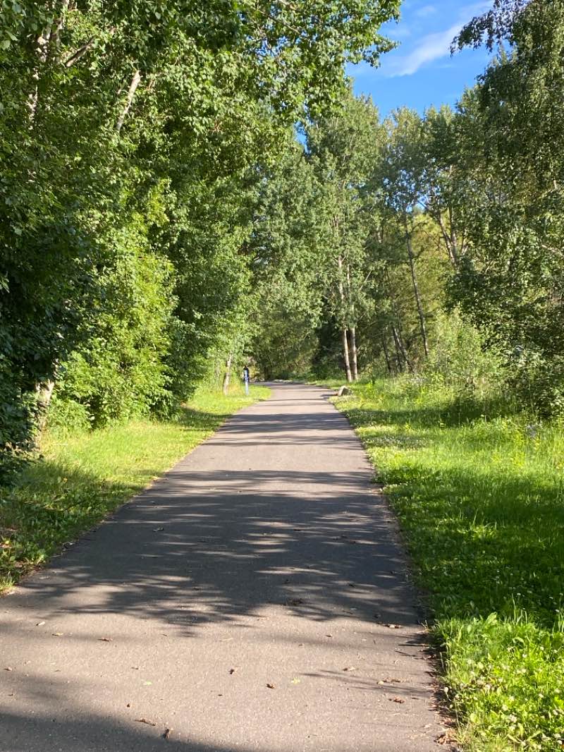 walking near me in Carrie Jane Gray Park in summer