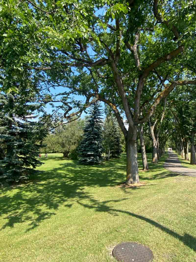 walking near me in City Hall Park in summer