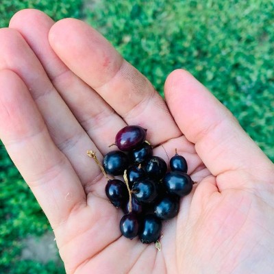 🍷🍷🍷candlekeep 🏔🇷🇺 post 1