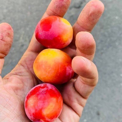 🍷🍷🍷candlekeep 🏔🇷🇺 post 1