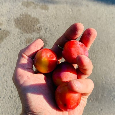 🍷🍷🍷candlekeep 🏔🇷🇺 post 2