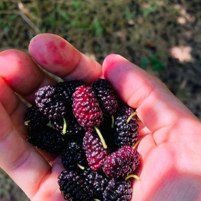 🍷🍷🍷candlekeep 🏔🇷🇺 post 1