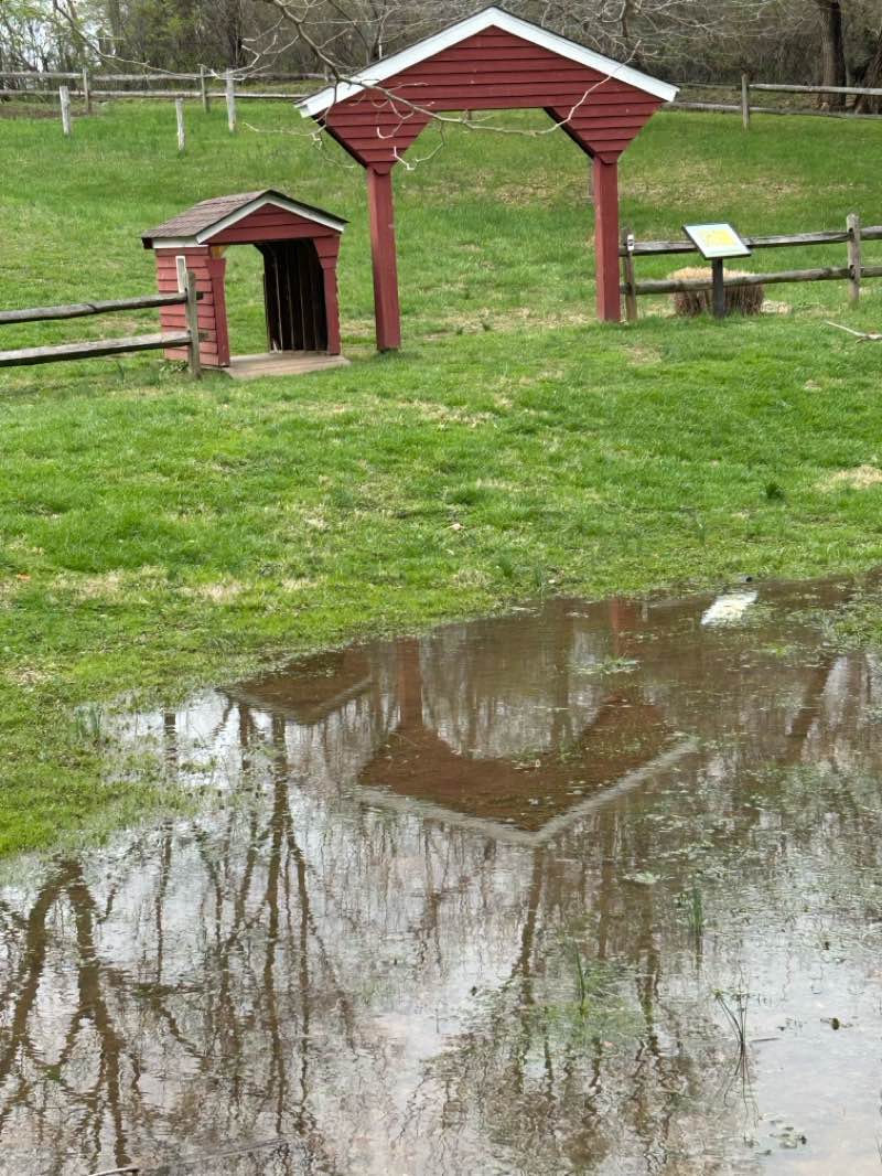 walking near me in Fair Hill Natural Resource Management Area in spring