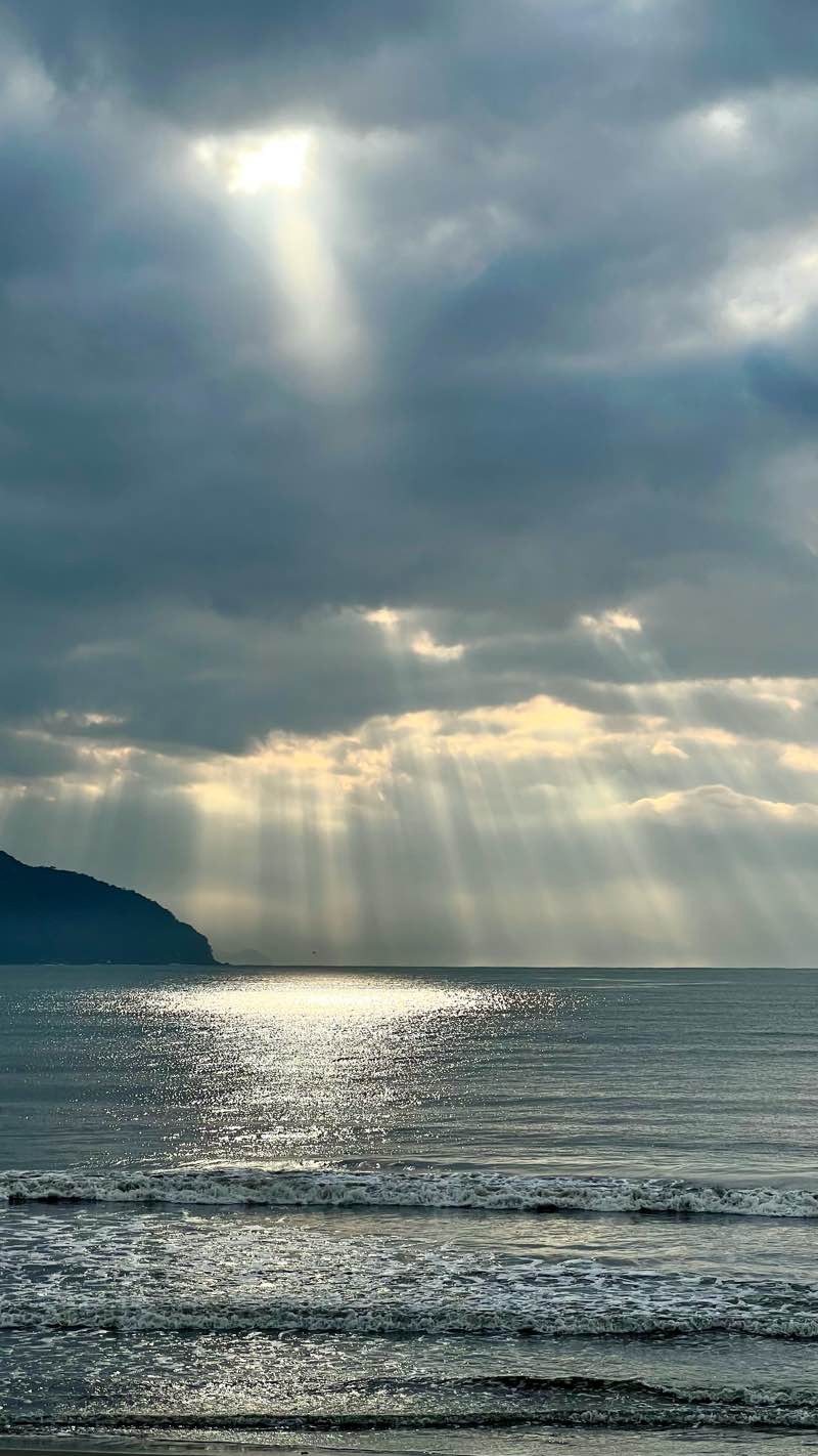 walking near me in Praça Treze de Maio in spring