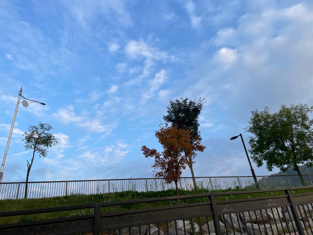 walking near me in 남양푸른건강뜰 체육공원 in autumn