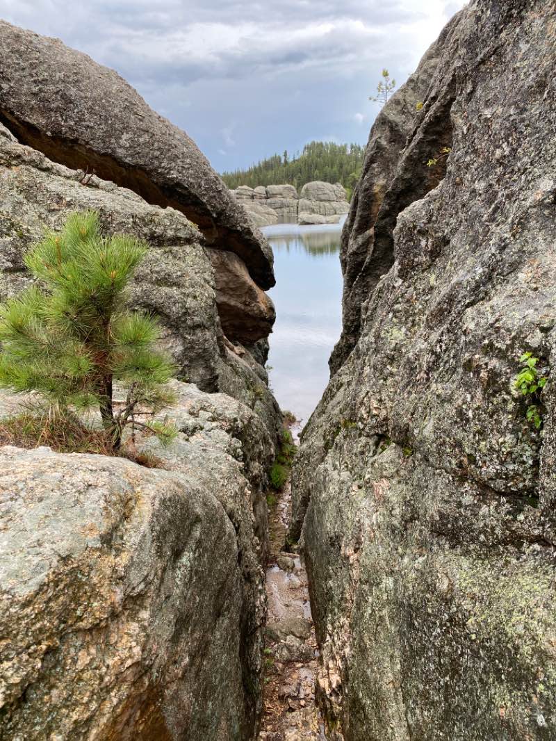 walking near me in Custer State Park in winter