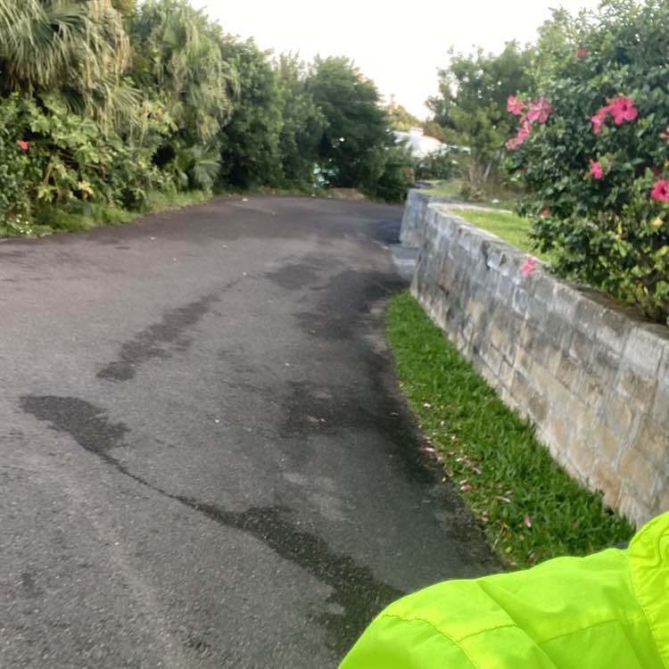 Nikki ♏️🦂 🇧🇲🇧🇲🇧🇲 post 2