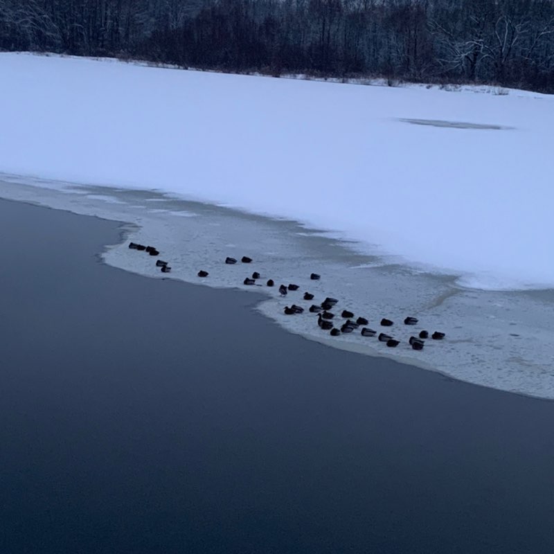 Татьяна post 2