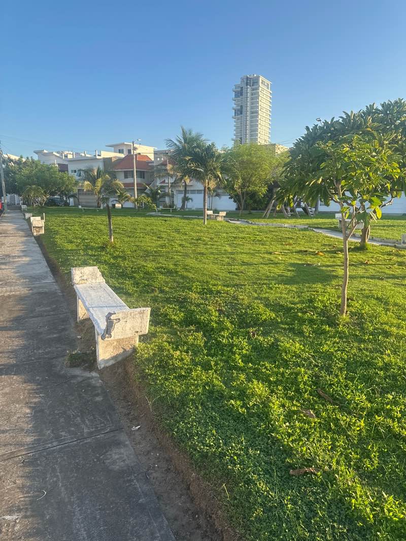 walking near me in Parque Tamiahua in autumn