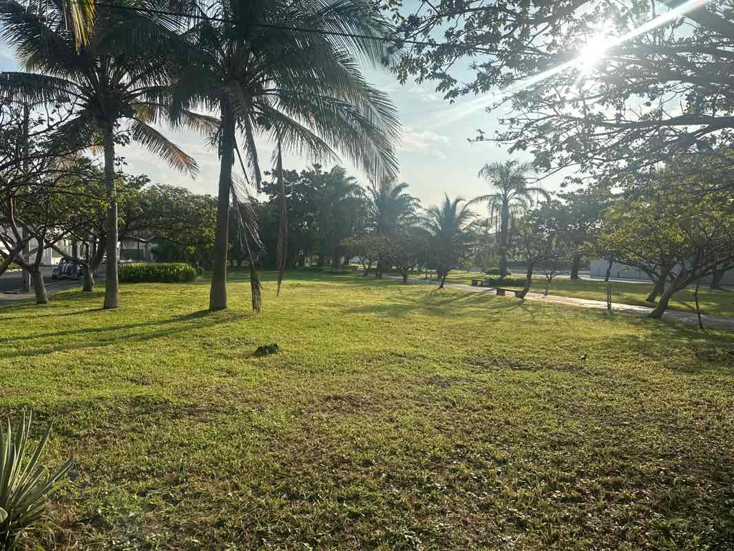 walking near me in Parque Tecolutla in winter