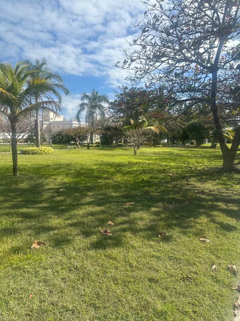 walking near me in Parque Tecolutla in winter