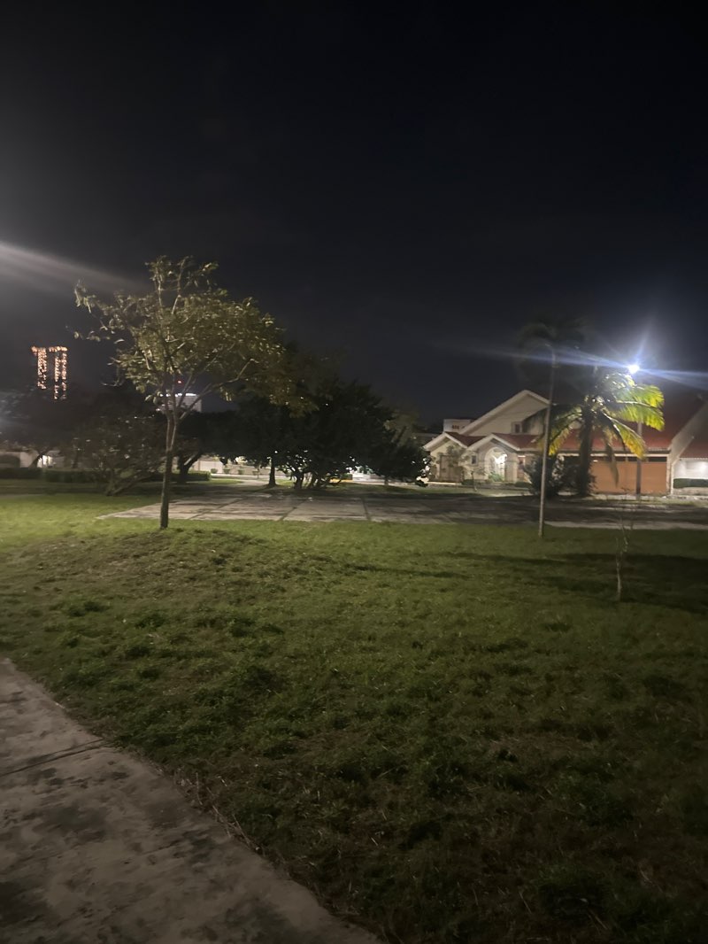 walking near me in Parque Arcas in winter