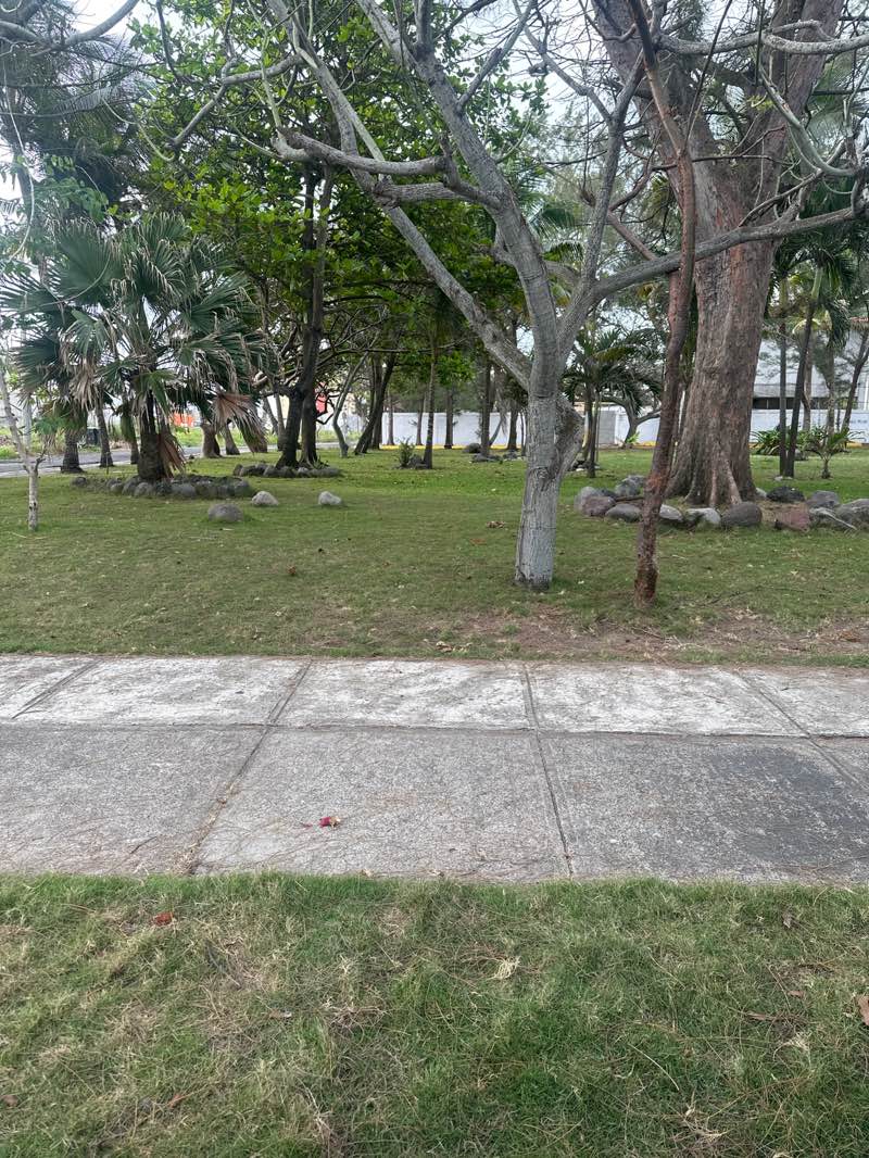 walking near me in PARQUE ANEGA in spring