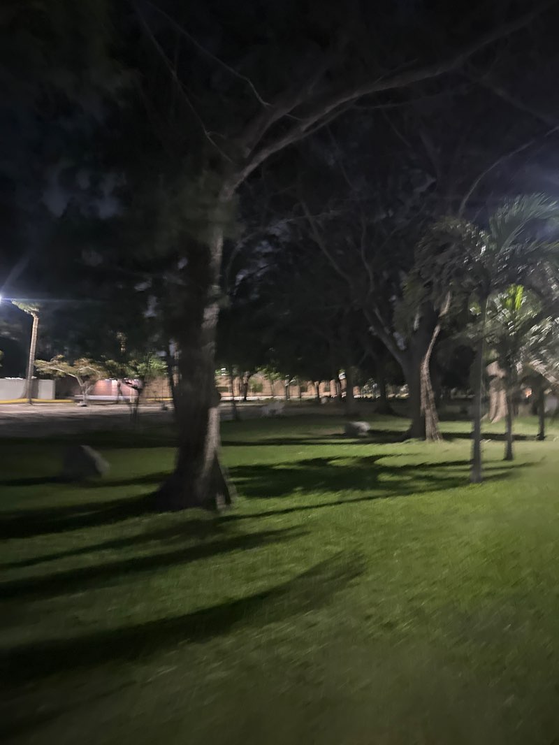 walking near me in PARQUE ANEGA in summer
