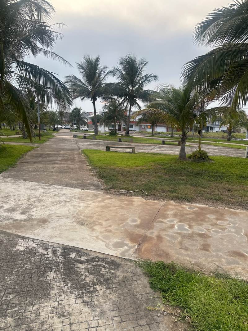 walking near me in Parque Tuxpan in summer