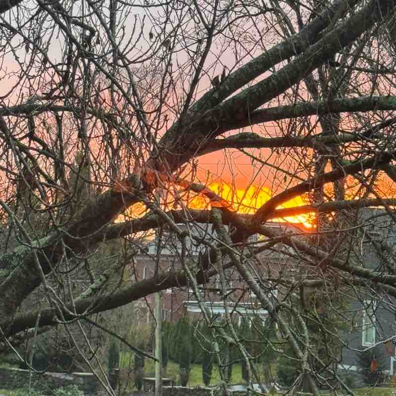 🇩🇪BEAUTIFUL  GERMANY🇩🇪 David - CRW 🇺🇸 post image